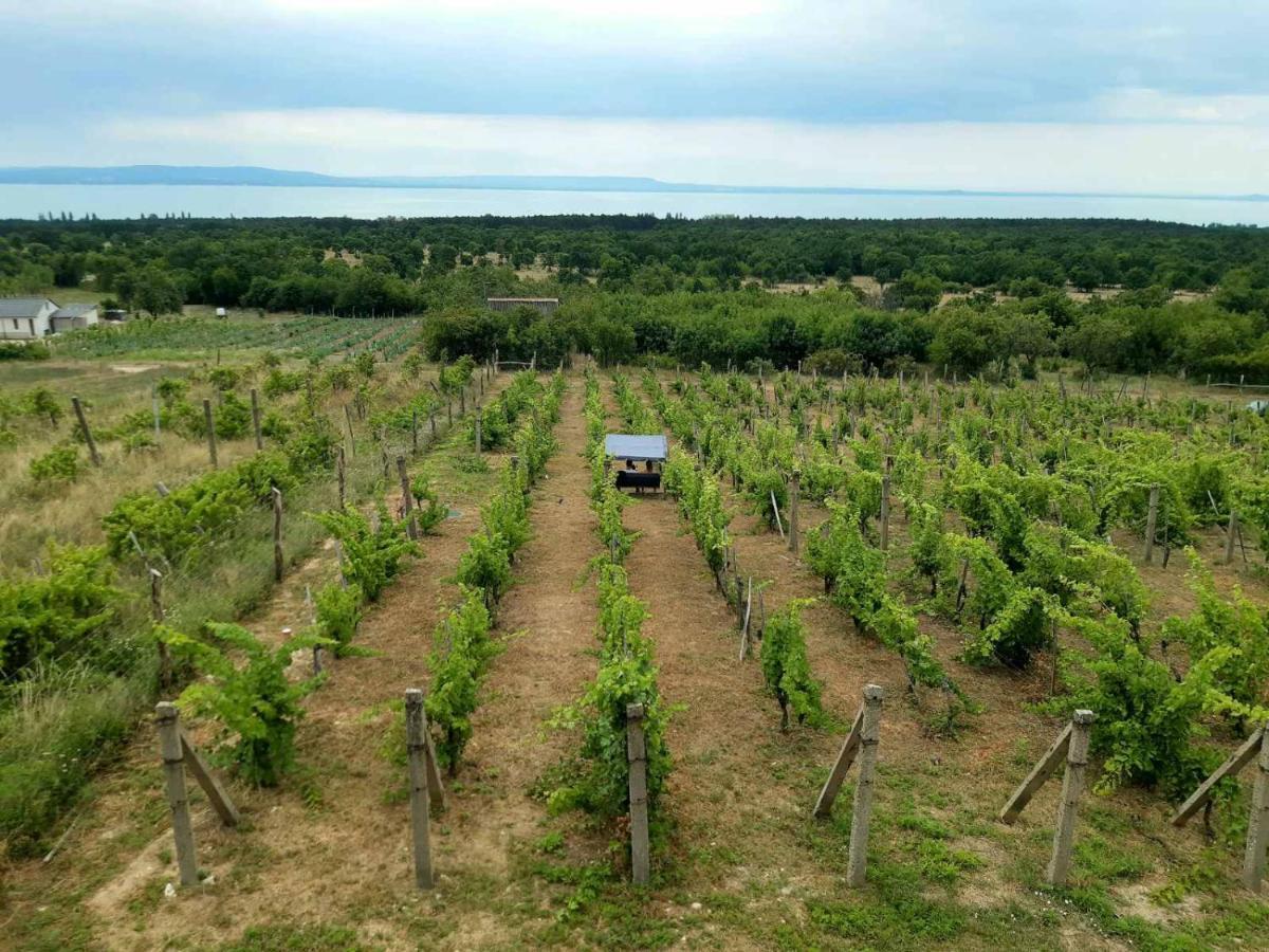 Napraszállás Vendégház Balatonakali Extérieur photo