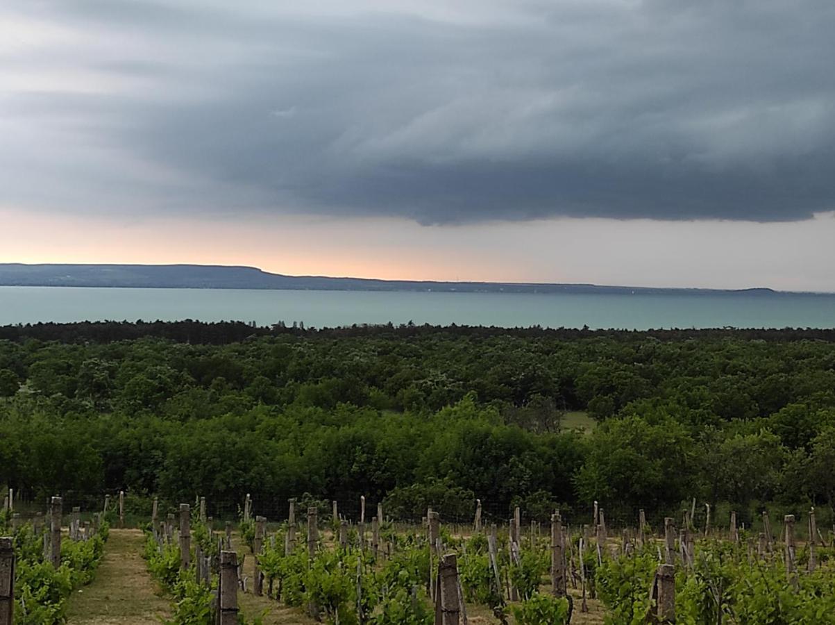 Napraszállás Vendégház Balatonakali Extérieur photo