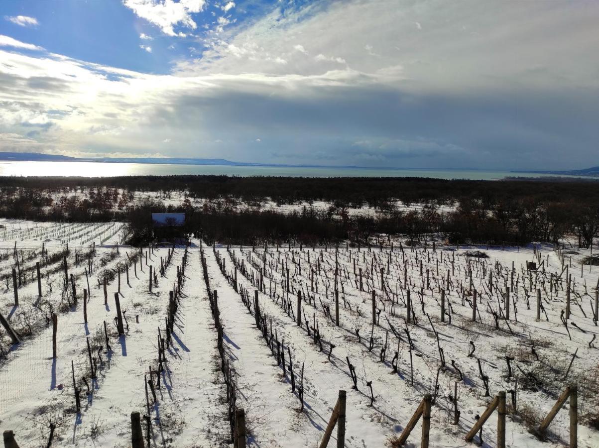 Napraszállás Vendégház Balatonakali Extérieur photo