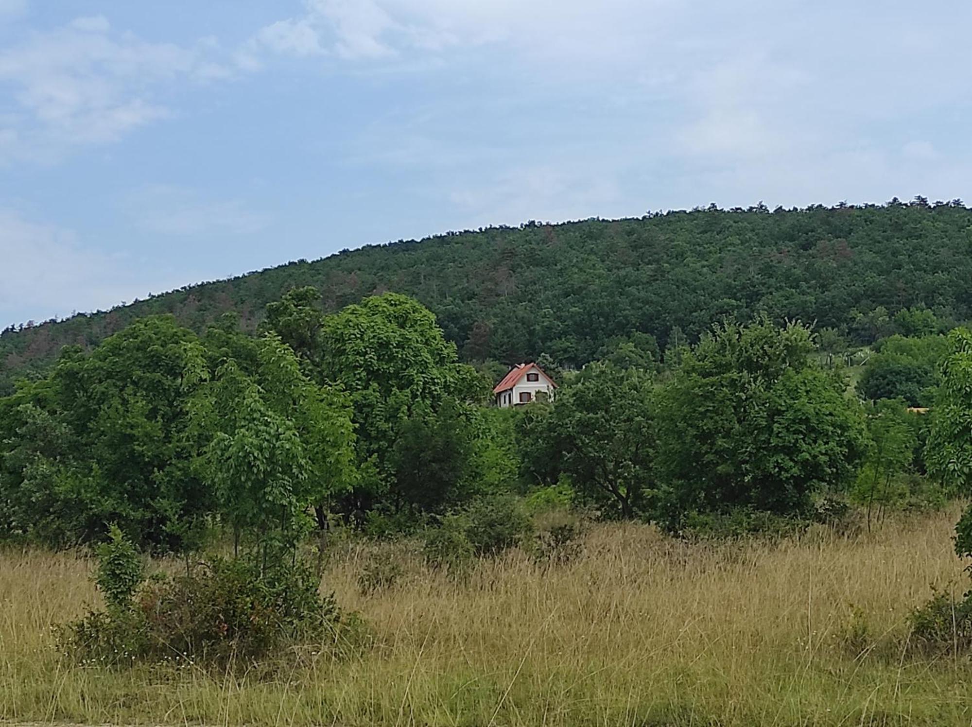 Napraszállás Vendégház Balatonakali Extérieur photo