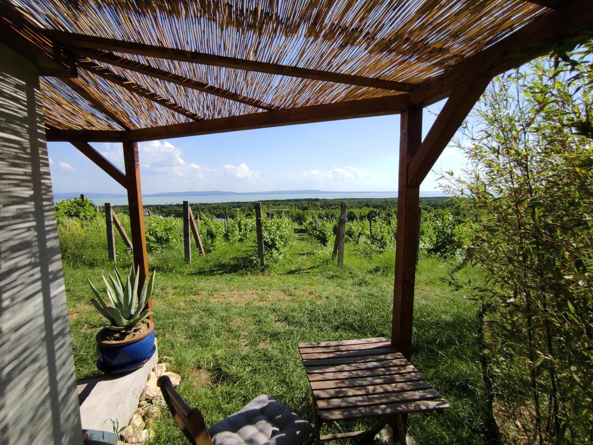 Napraszállás Vendégház Balatonakali Extérieur photo